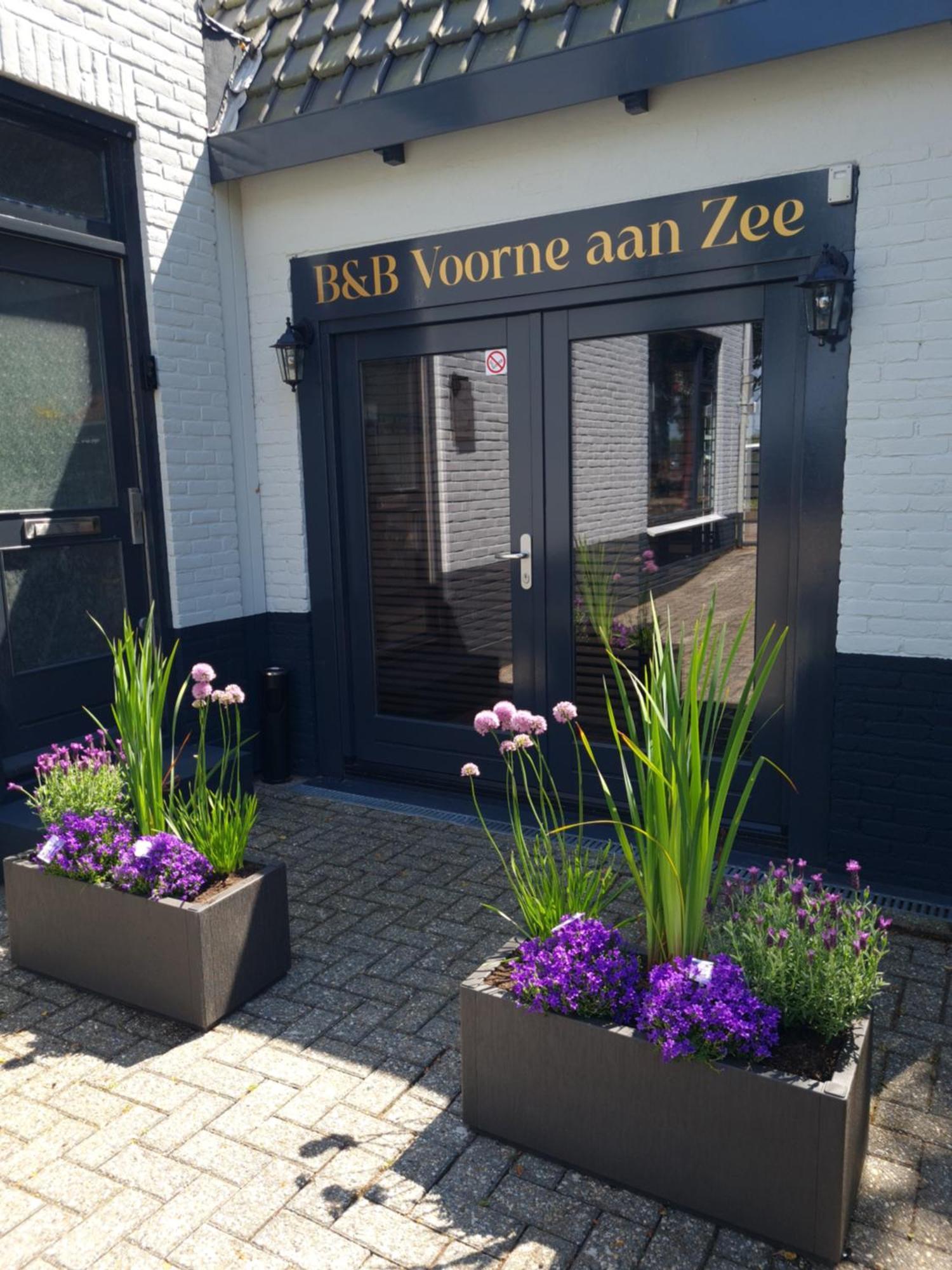 B&B Voorne Aan Zee Rockanje Exterior foto